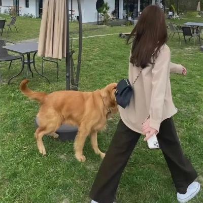 小杰